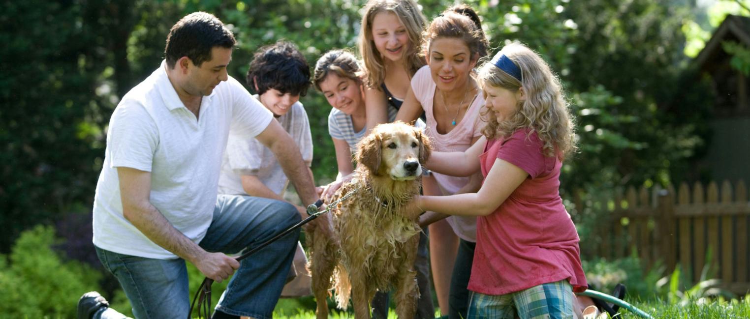 Eine Familie bestehend aus einem Mann, einer Frau, drei Töchtern und einem Sohn sitzen um einen Golden Retriever und waschen ihn mit dem Schlauch