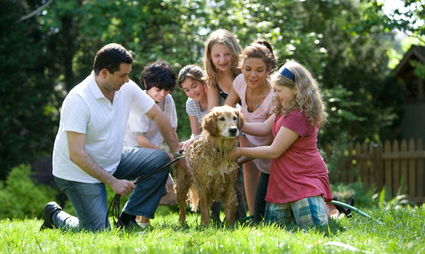 Eine Familie bestehend aus einem Mann, einer Frau, drei Töchtern und einem Sohn sitzen um einen Golden Retriever und waschen ihn mit dem Schlauch