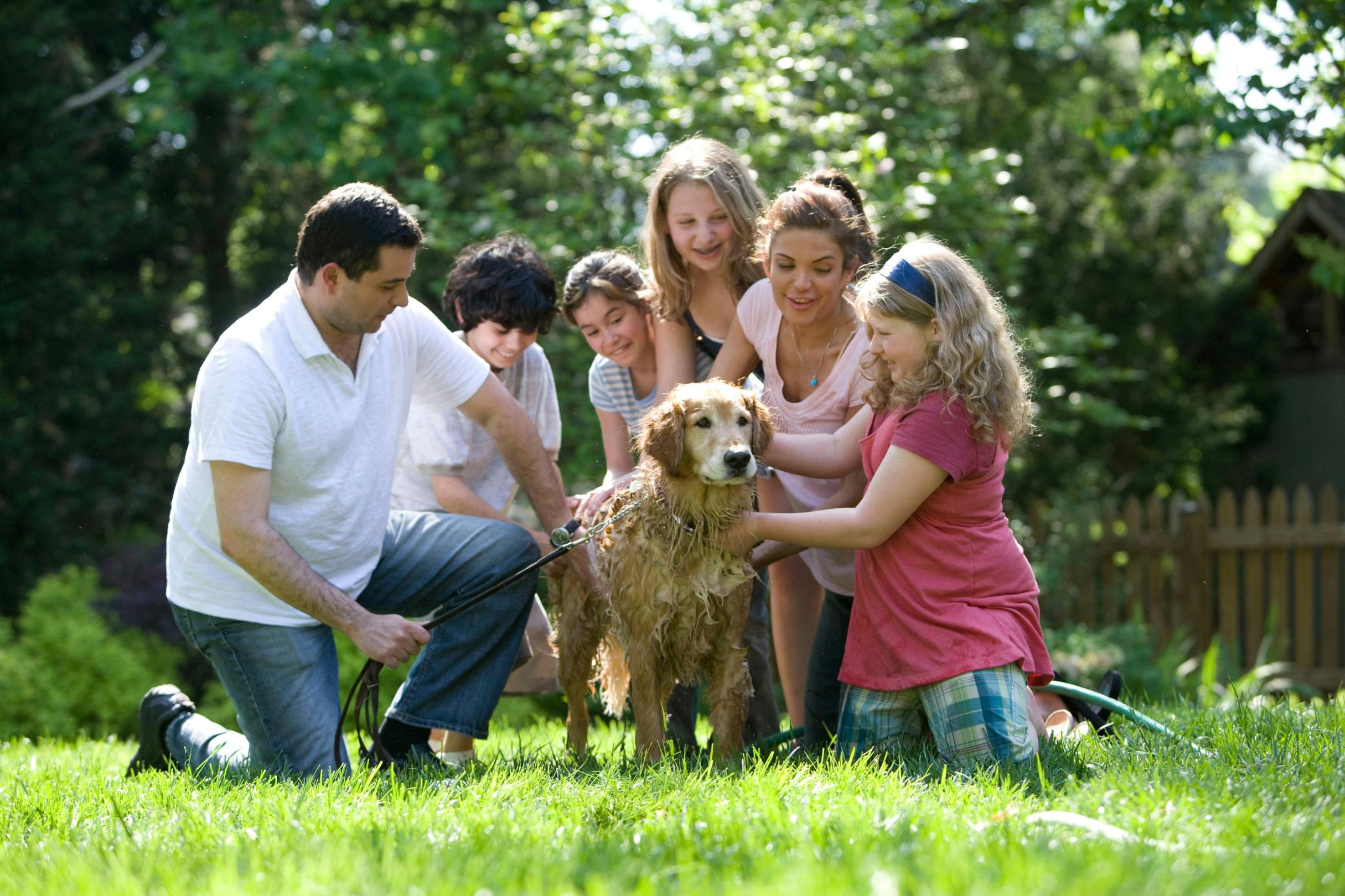 Eine Familie bestehend aus einem Mann, einer Frau, drei Töchtern und einem Sohn sitzen um einen Golden Retriever und waschen ihn mit dem Schlauch