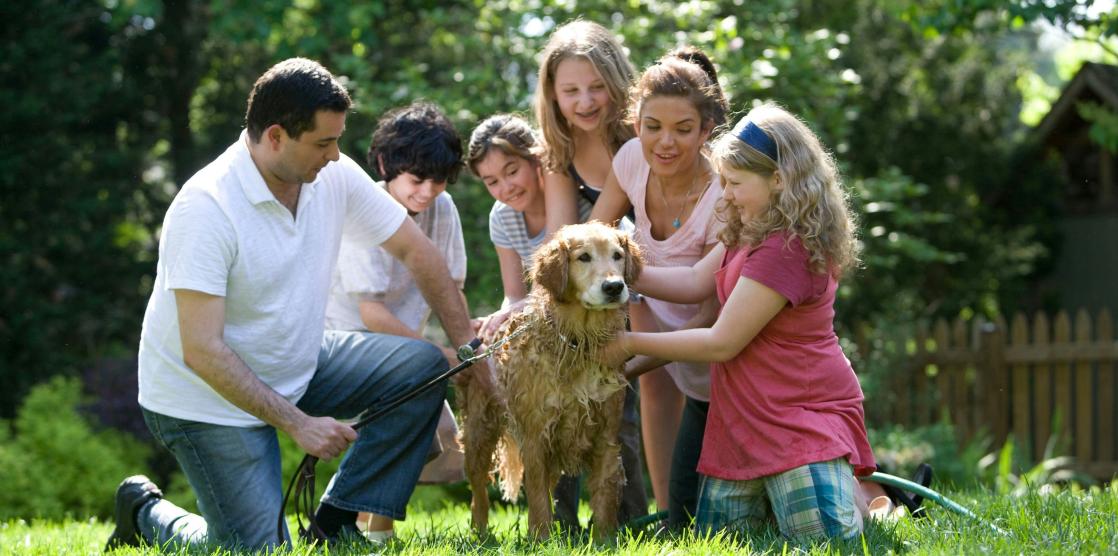 Eine Familie bestehend aus einem Mann, einer Frau, drei Töchtern und einem Sohn sitzen um einen Golden Retriever und waschen ihn mit dem Schlauch