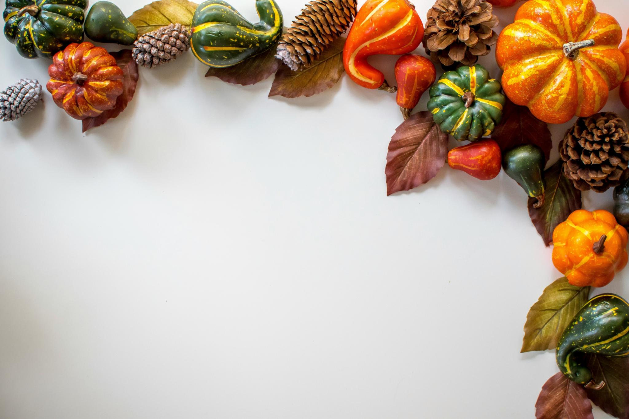 Das Bild ist überwiegend weiß, oben vorbei und am rechten Rand liegen Kürbisse, Blätter, Tannenzapfen in herbstlichen Farben in orange, grün, gelb und braun
