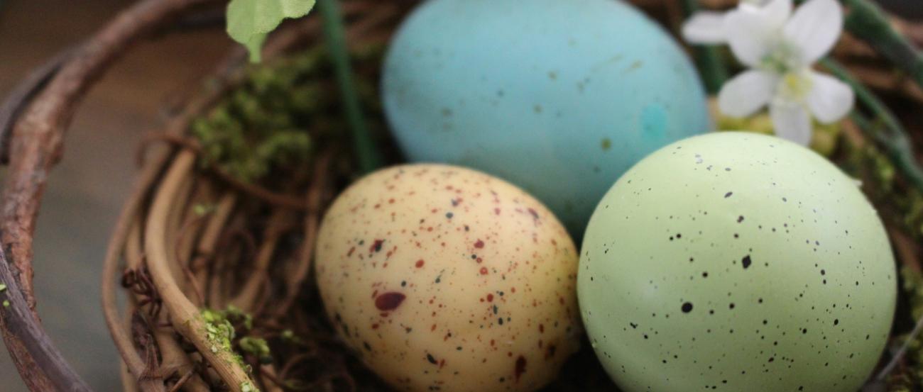 Symbolbild (c) Haley Owens/unsplash.com Drei bunte Ostereier liegen in einem Korb, der wie ein Vogelnest aussieht