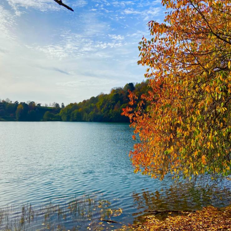 Blick auf ein Maar, am Rand steht ein herbstlich bunt gefärbter Baum