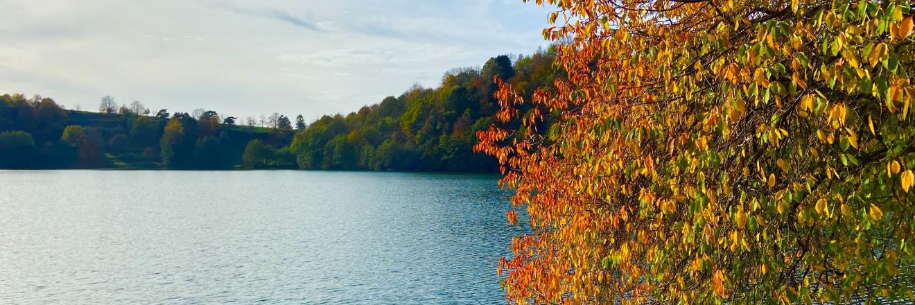 Blick auf ein Maar, am Rand steht ein herbstlich bunt gefärbter Baum