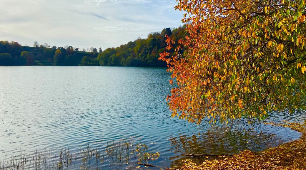 Blick auf ein Maar, am Rand steht ein herbstlich bunt gefärbter Baum