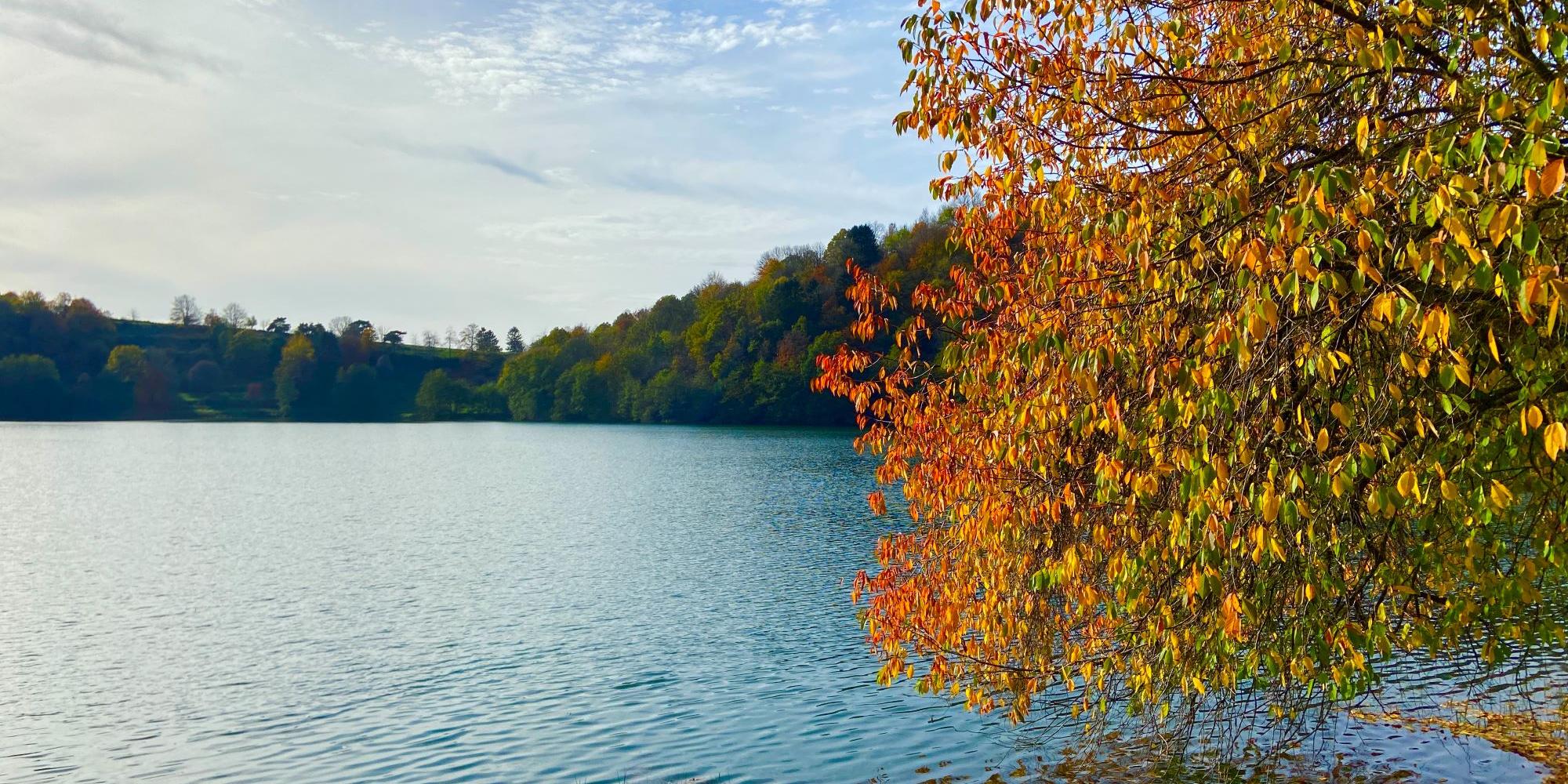 Blick auf ein Maar, am Rand steht ein herbstlich bunt gefärbter Baum