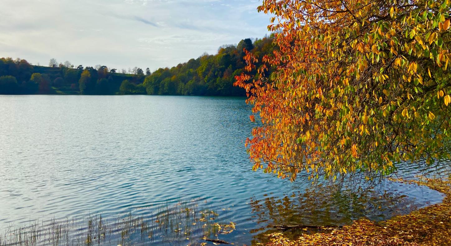 Blick auf ein Maar, am Rand steht ein herbstlich bunt gefärbter Baum