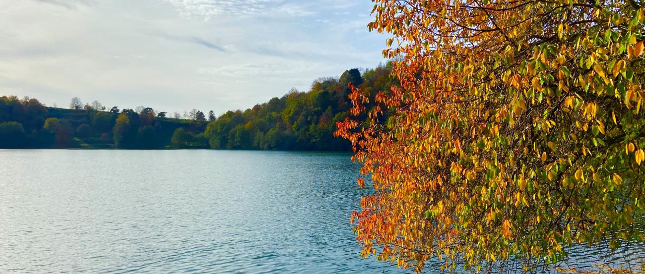 Blick auf ein Maar, am Rand steht ein herbstlich bunt gefärbter Baum