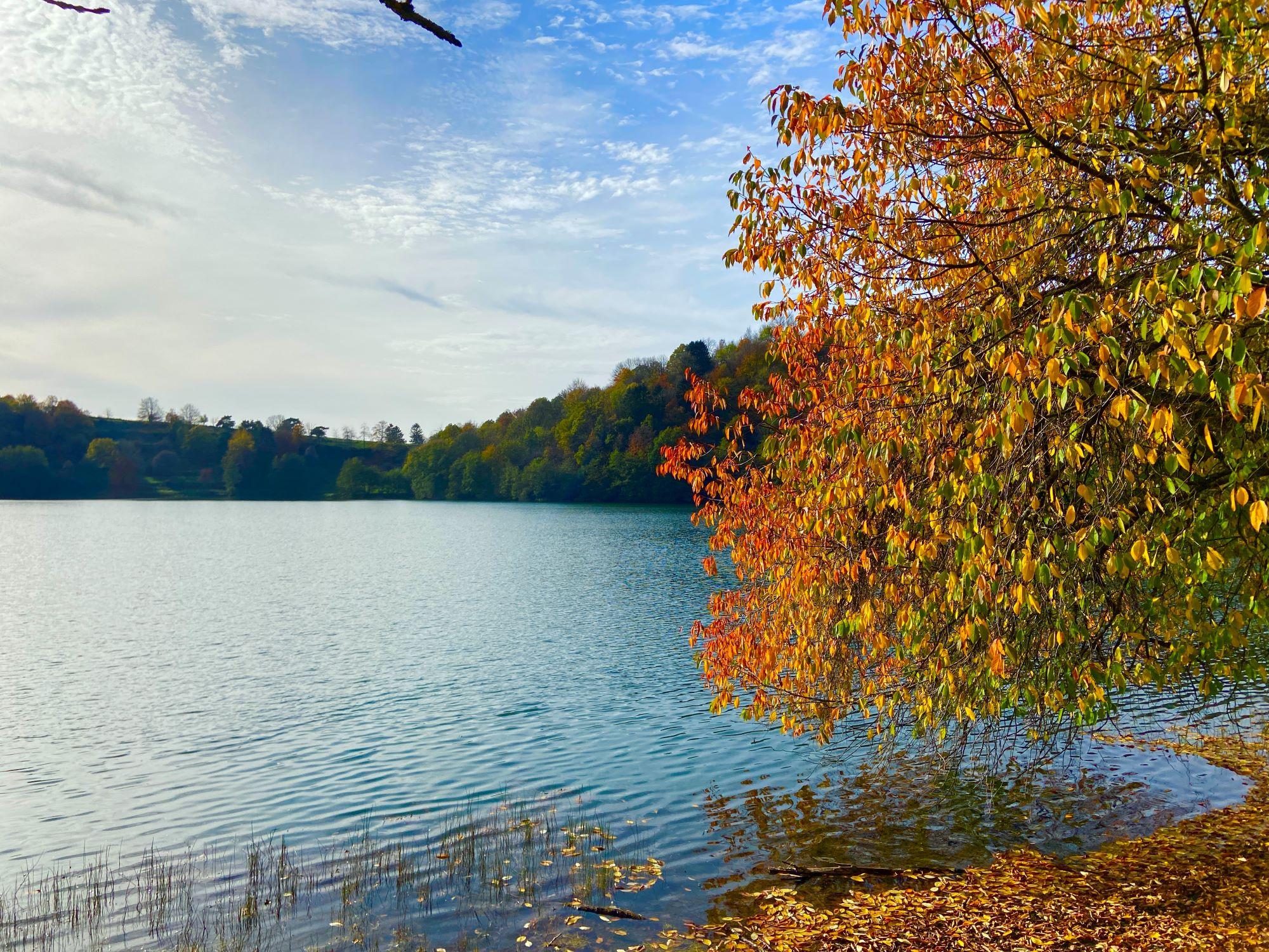 Symbolbild Blick auf ein Maar, am Rand steht ein herbstlich bunt gefärbter Baum