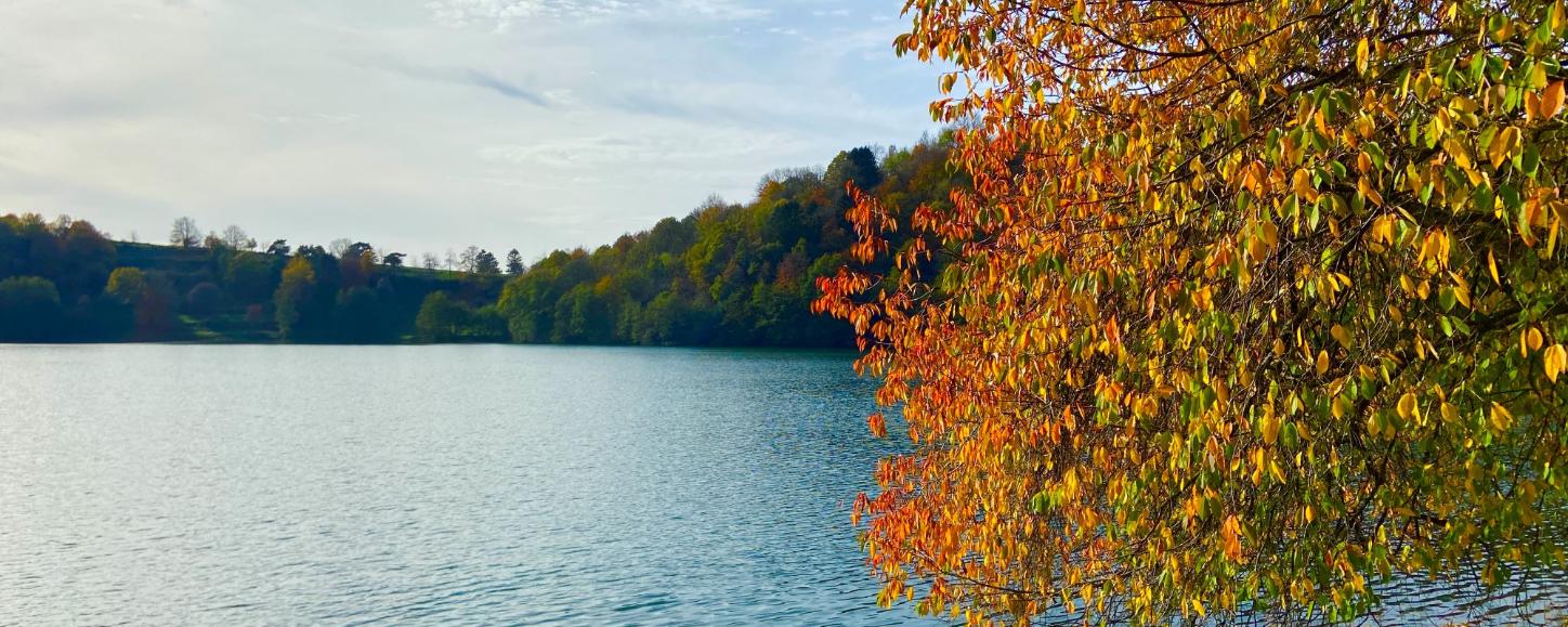 Blick auf ein Maar, am Rand steht ein herbstlich bunt gefärbter Baum