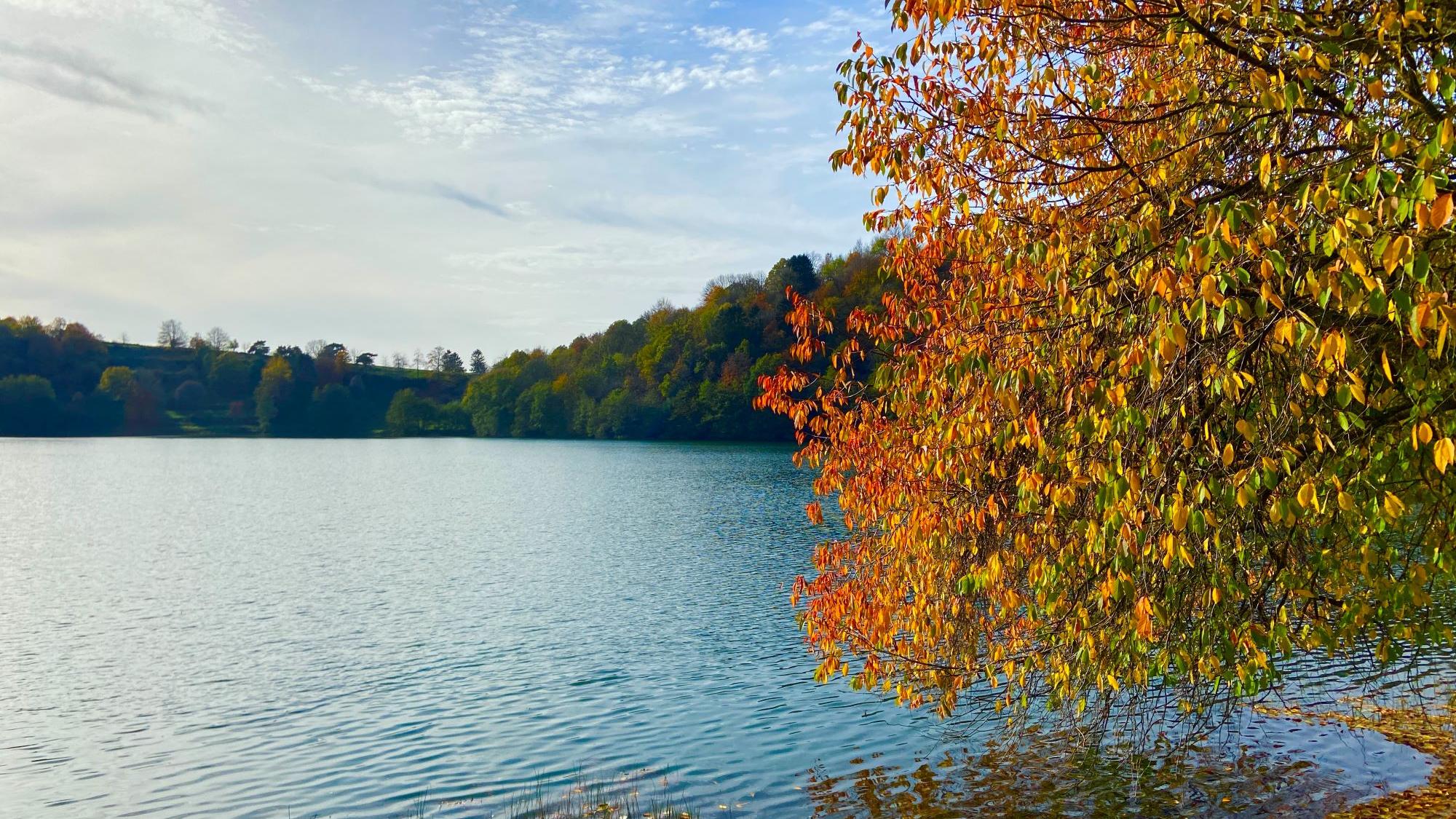 Blick auf ein Maar, am Rand steht ein herbstlich bunt gefärbter Baum