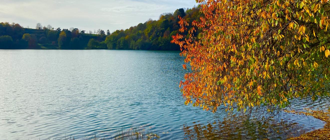 Blick auf ein Maar, am Rand steht ein herbstlich bunt gefärbter Baum