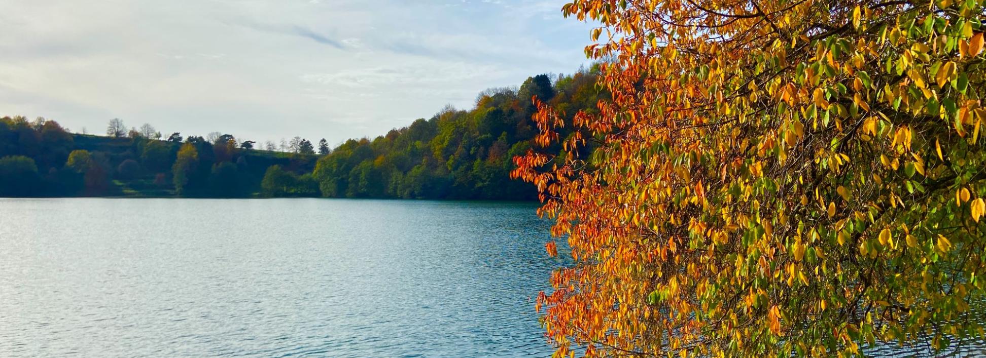 Blick auf ein Maar, am Rand steht ein herbstlich bunt gefärbter Baum