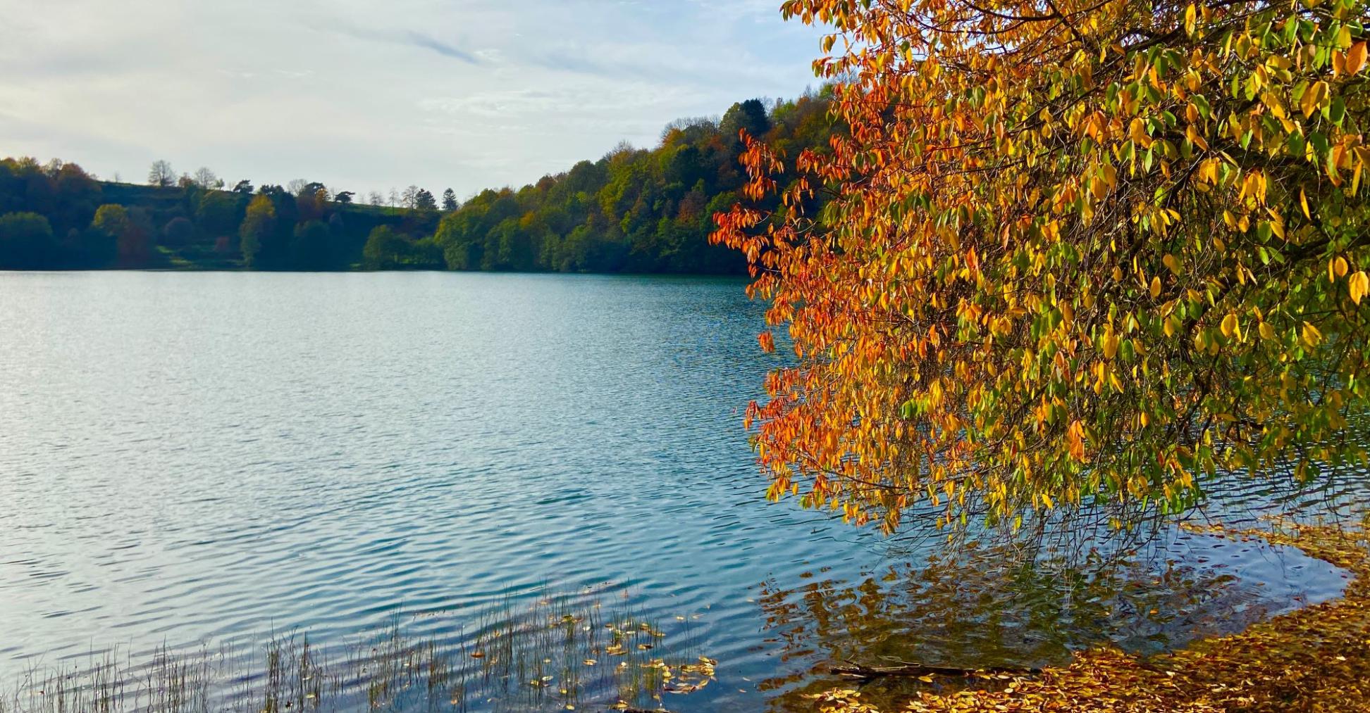 Blick auf ein Maar, am Rand steht ein herbstlich bunt gefärbter Baum
