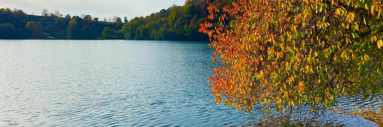 Blick auf ein Maar, am Rand steht ein herbstlich bunt gefärbter Baum