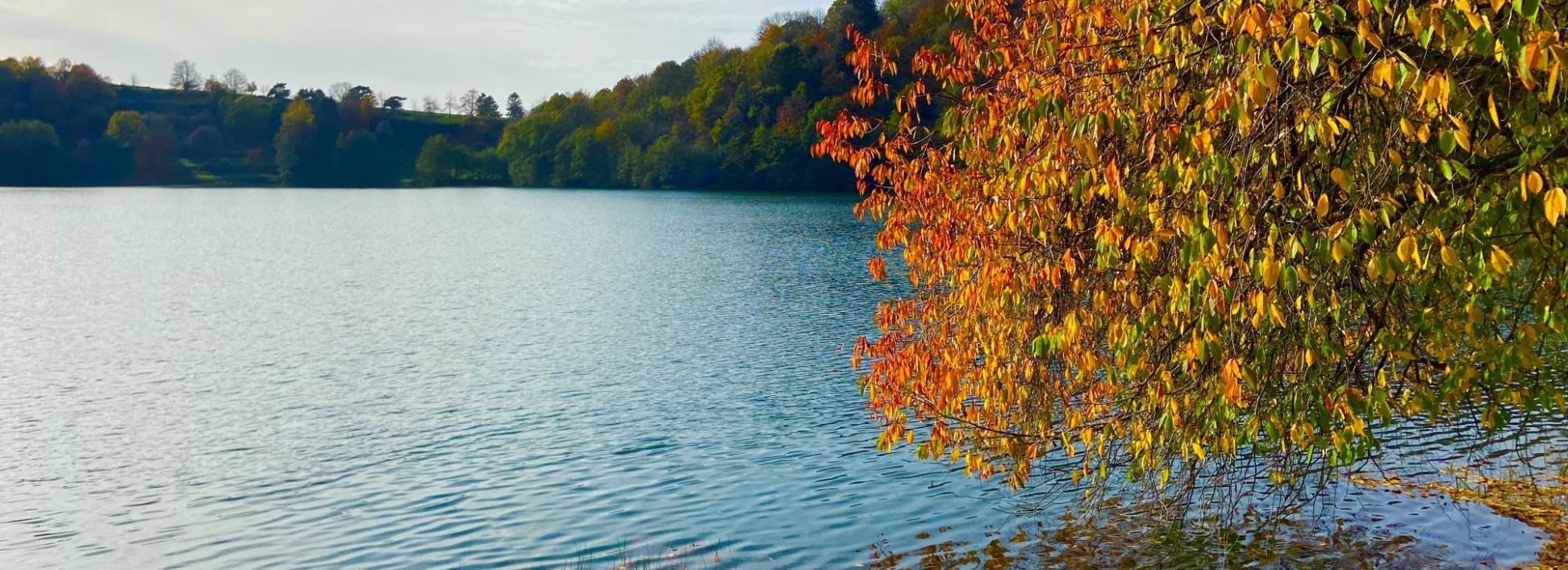 Blick auf ein Maar, am Rand steht ein herbstlich bunt gefärbter Baum