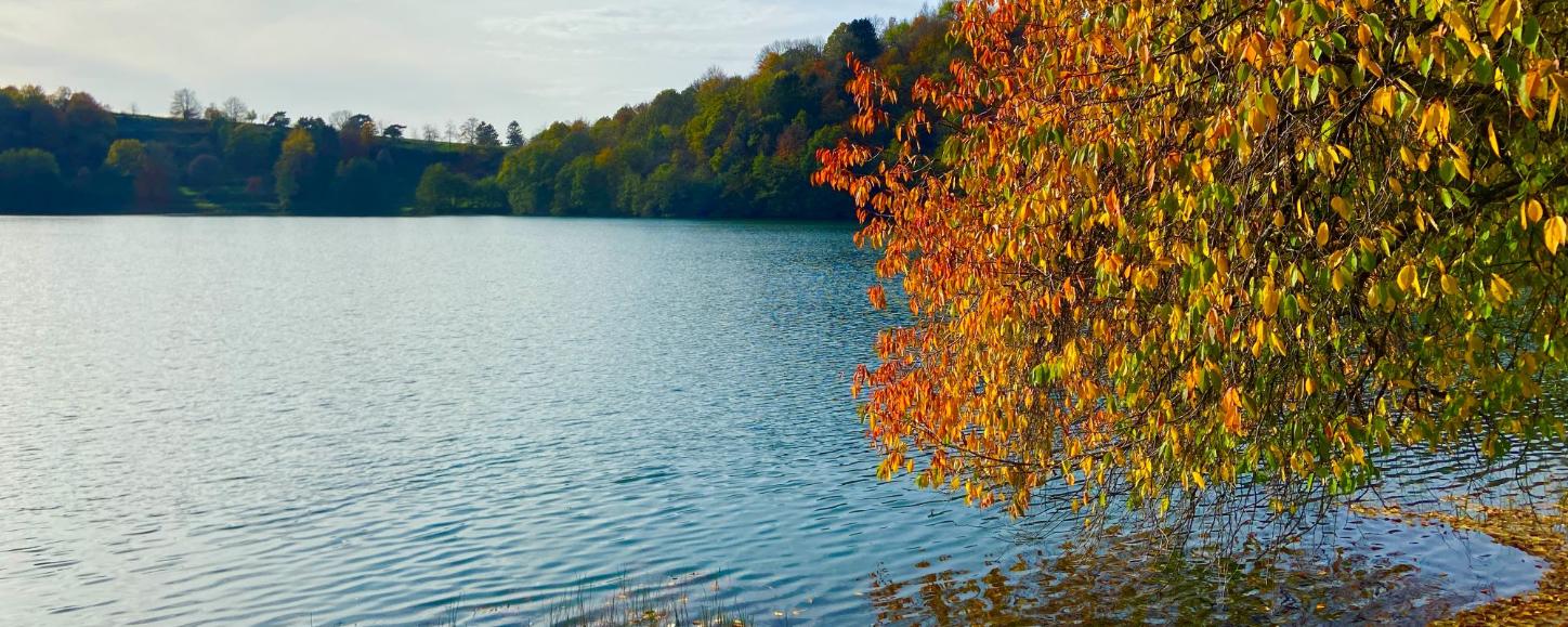 Blick auf ein Maar, am Rand steht ein herbstlich bunt gefärbter Baum