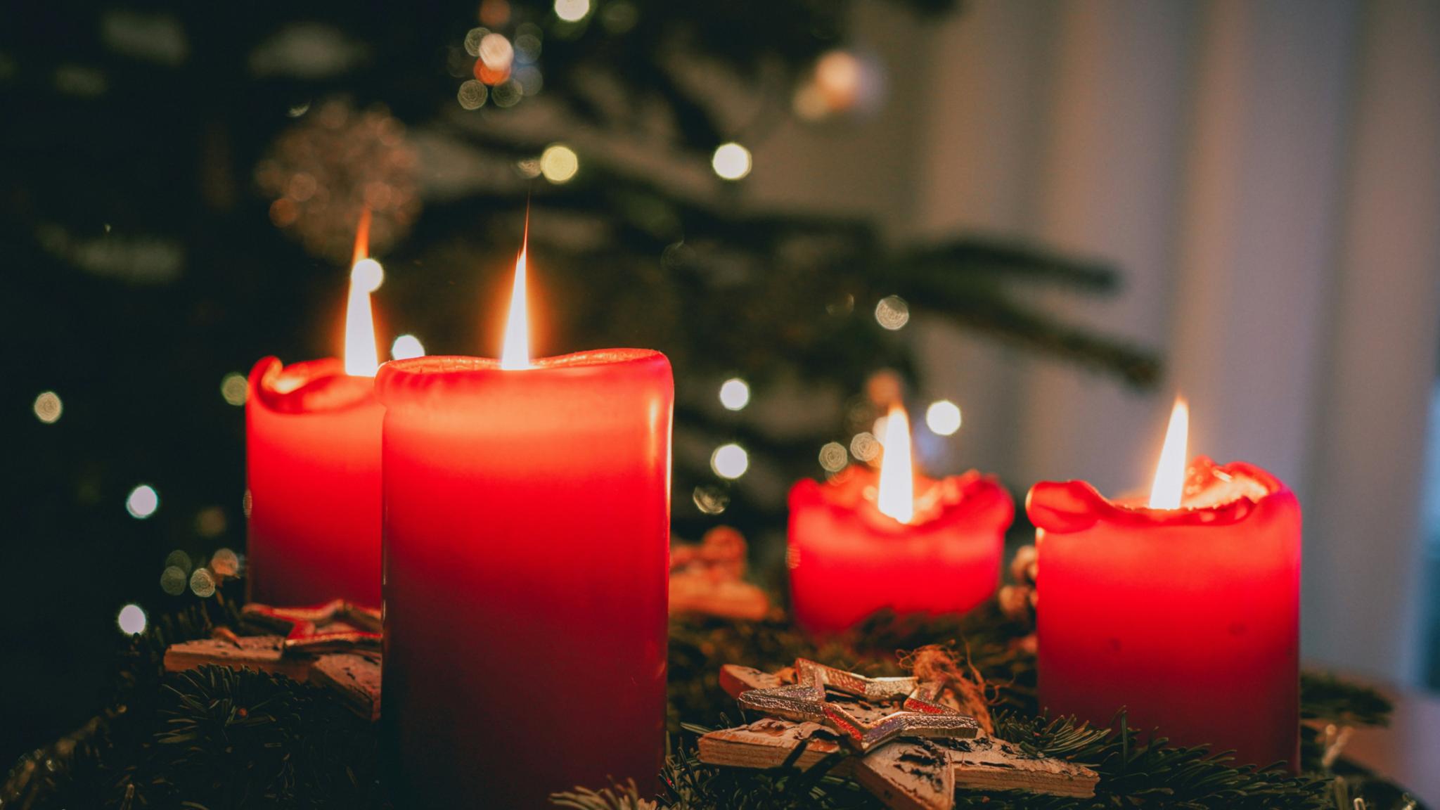 Vier Kerzen brennen an einem Adventskranz, im Hintergrund ist ein Weihnachtsbaum