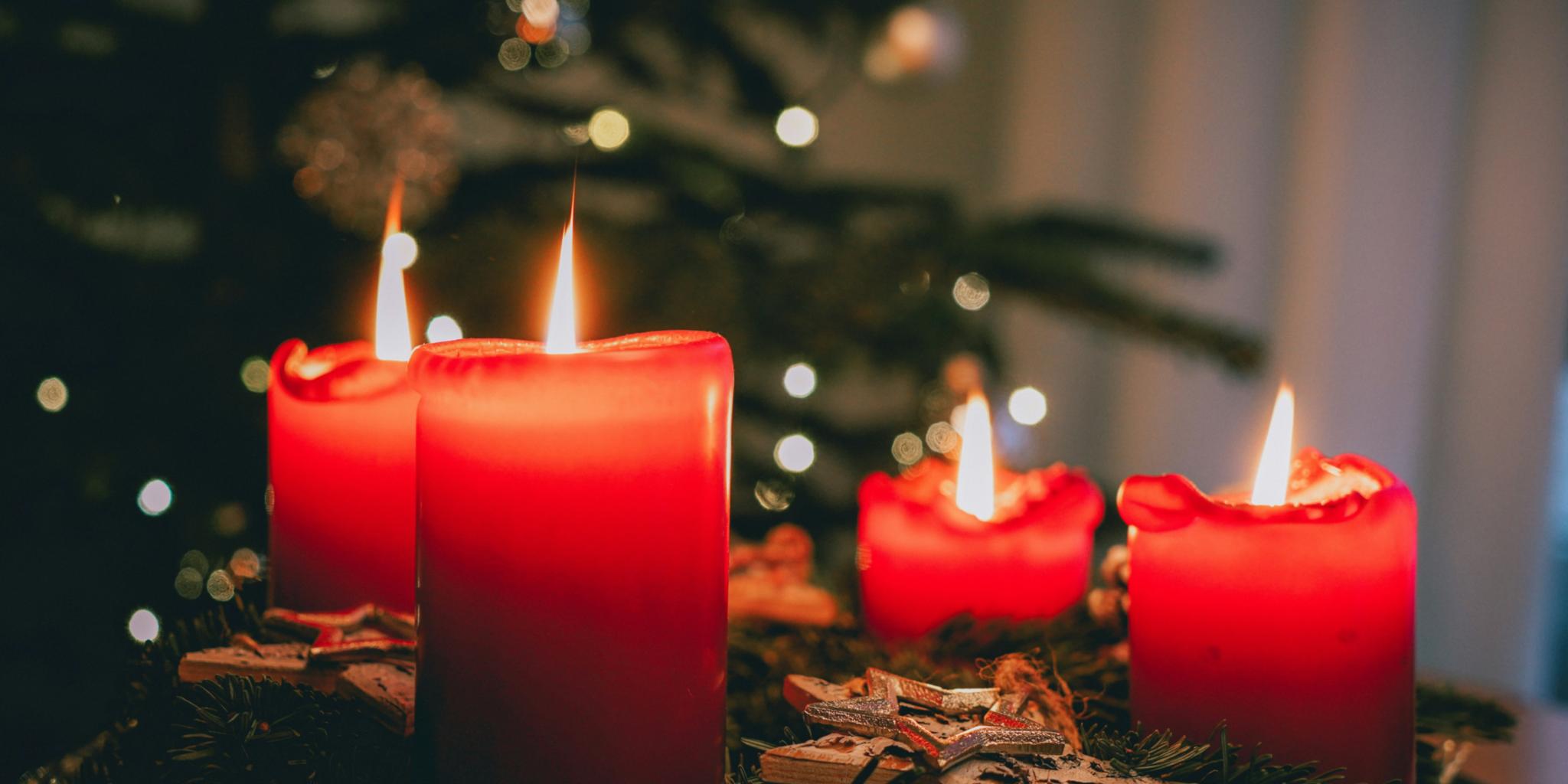 Vier Kerzen brennen an einem Adventskranz, im Hintergrund ist ein Weihnachtsbaum