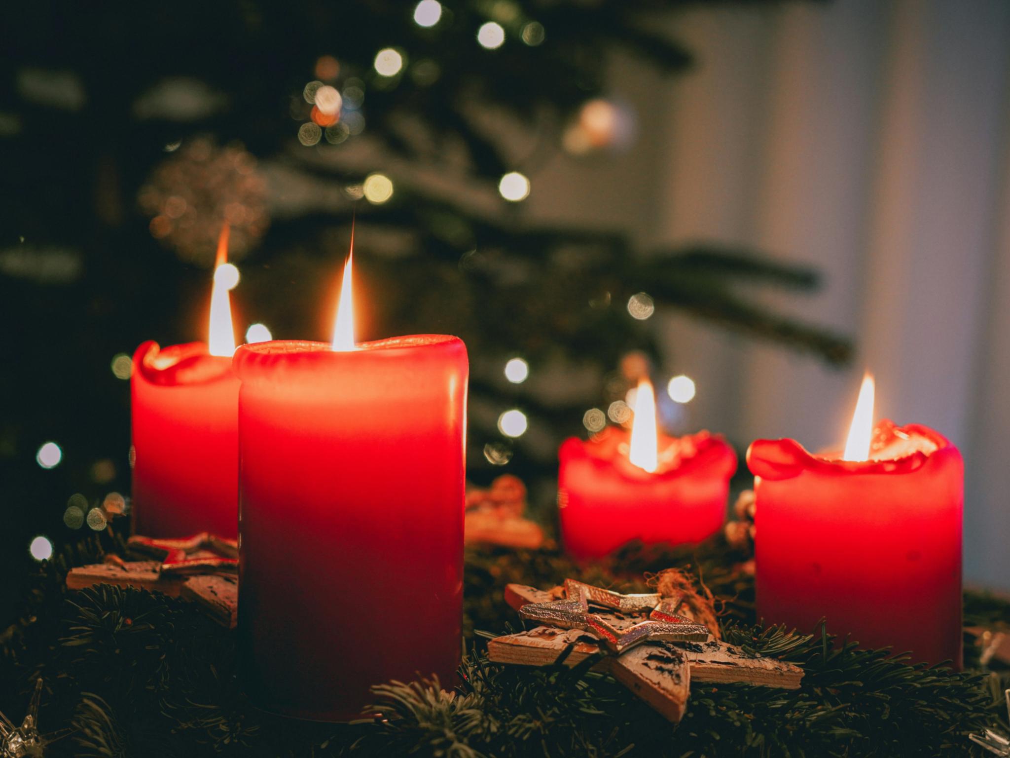 Vier Kerzen brennen an einem Adventskranz, im Hintergrund ist ein Weihnachtsbaum