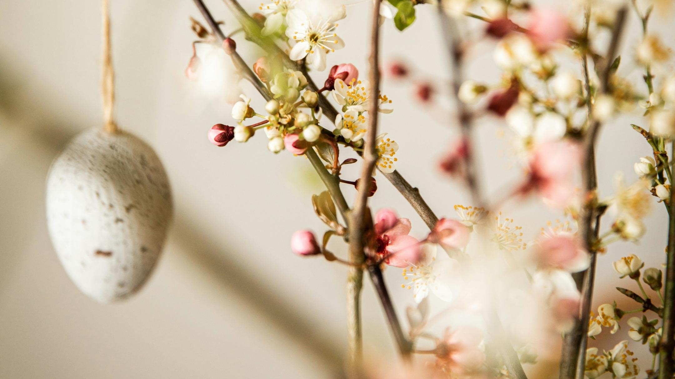 Osterstrauch mit weißen und rosanen Blüten und Ostereiern