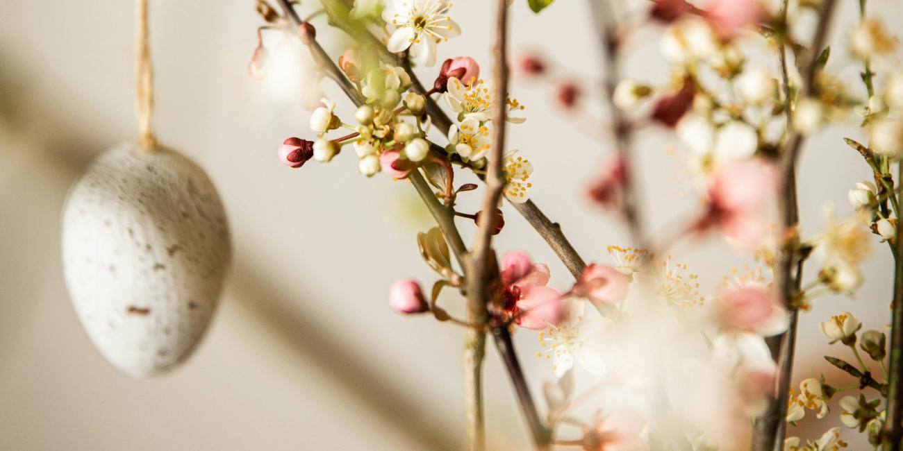 Osterstrauch mit weißen und rosanen Blüten und Ostereiern