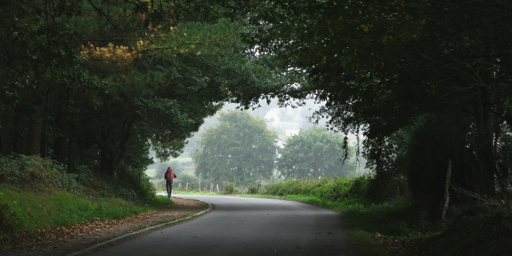 Der Blick ist auf eine von Bäumen gesäumte Straße gerichtet. am linken Gehwegrand wandert ein Mensch