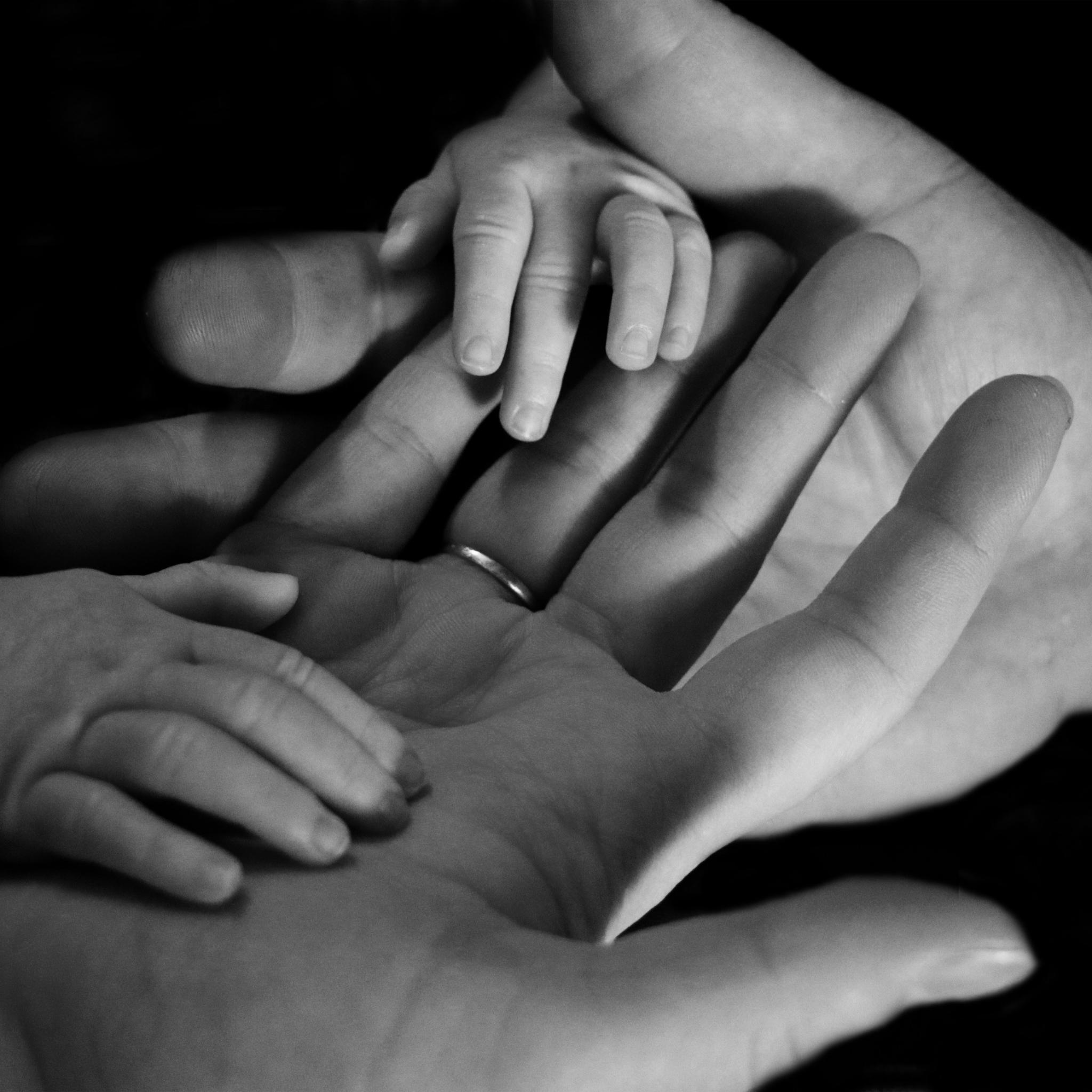Zwei Hände von erwachsenen Menschen halten zwei Hände eines Babys. Das Bild ist schwarz-weiß