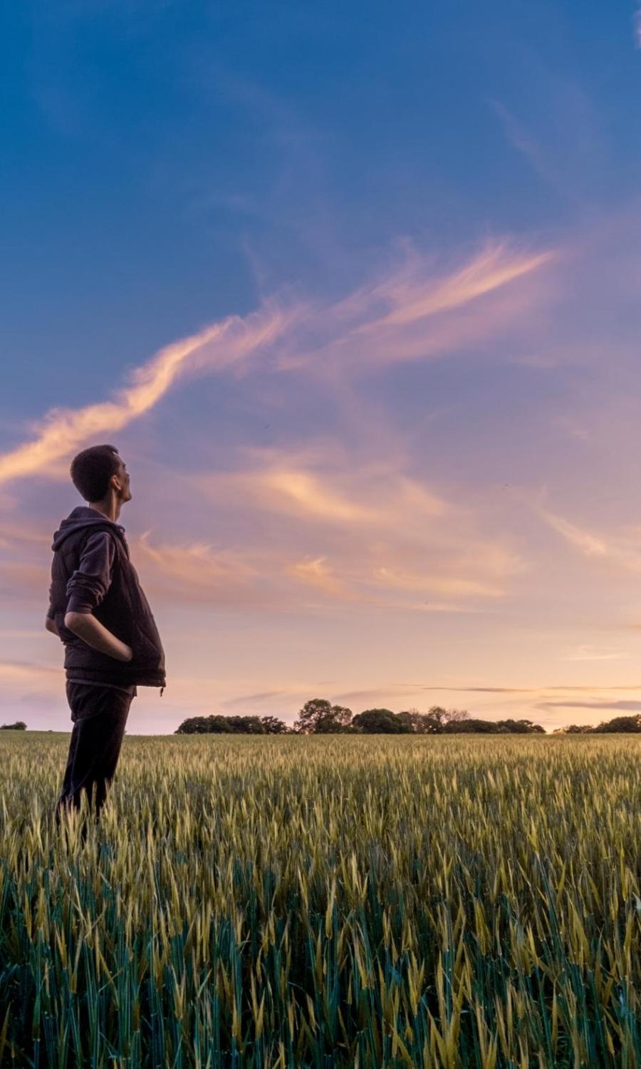 Man sieht einen Mann der auf einem Feld steht und in die Ferne schaut