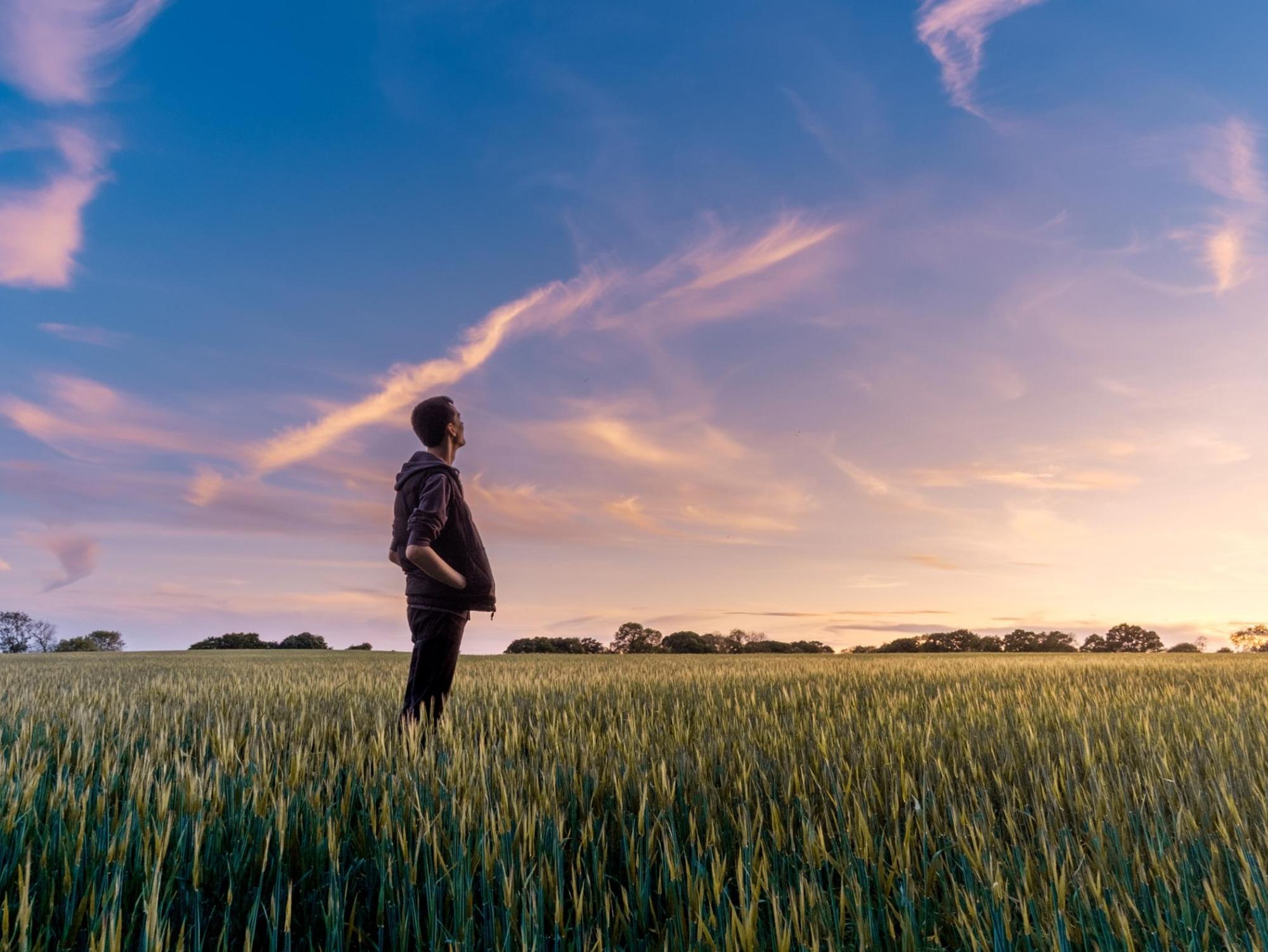 Man sieht einen Mann der auf einem Feld steht und in die Ferne schaut