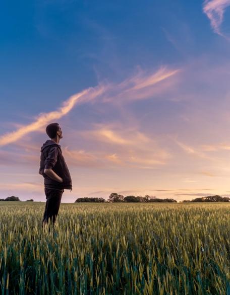 Man sieht einen Mann der auf einem Feld steht und in die Ferne schaut