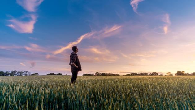 Man sieht einen Mann der auf einem Feld steht und in die Ferne schaut