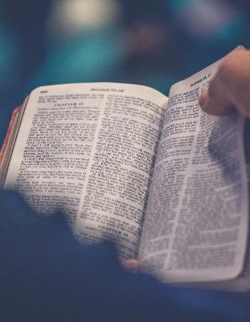 Ein Mensch hält eine Bibel in der Hand und liest darin