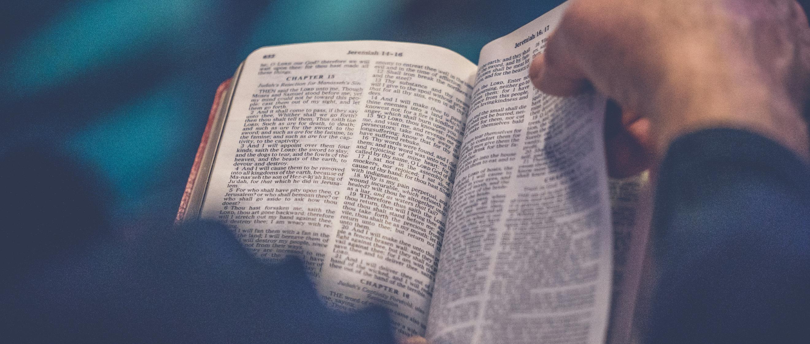 Ein Mensch hält eine Bibel in der Hand und liest darin