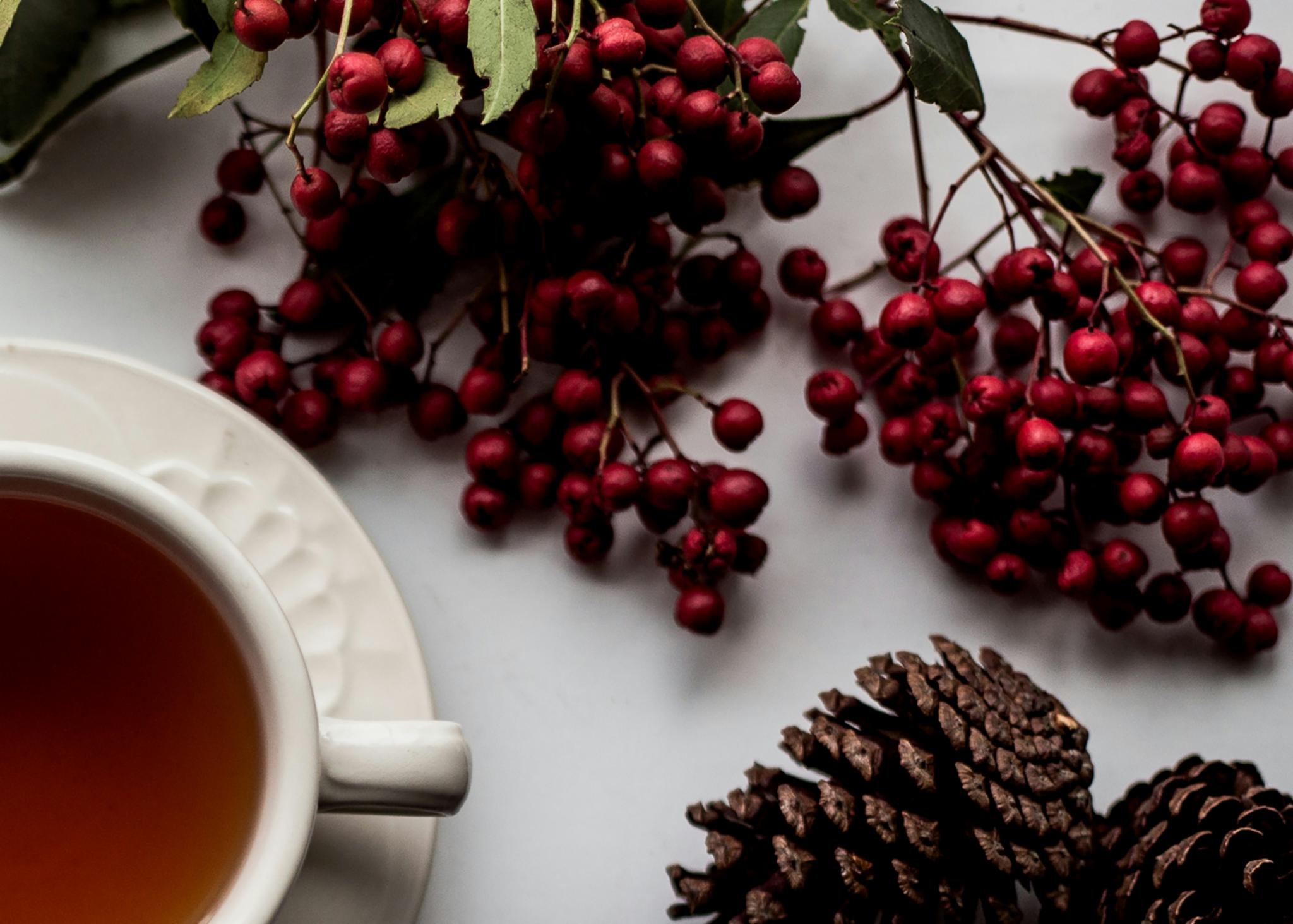 Auf einem Tisch steht eine Tasse Tee, rundherum liegen Tannenzapfen und rote Beeren eines Strauches