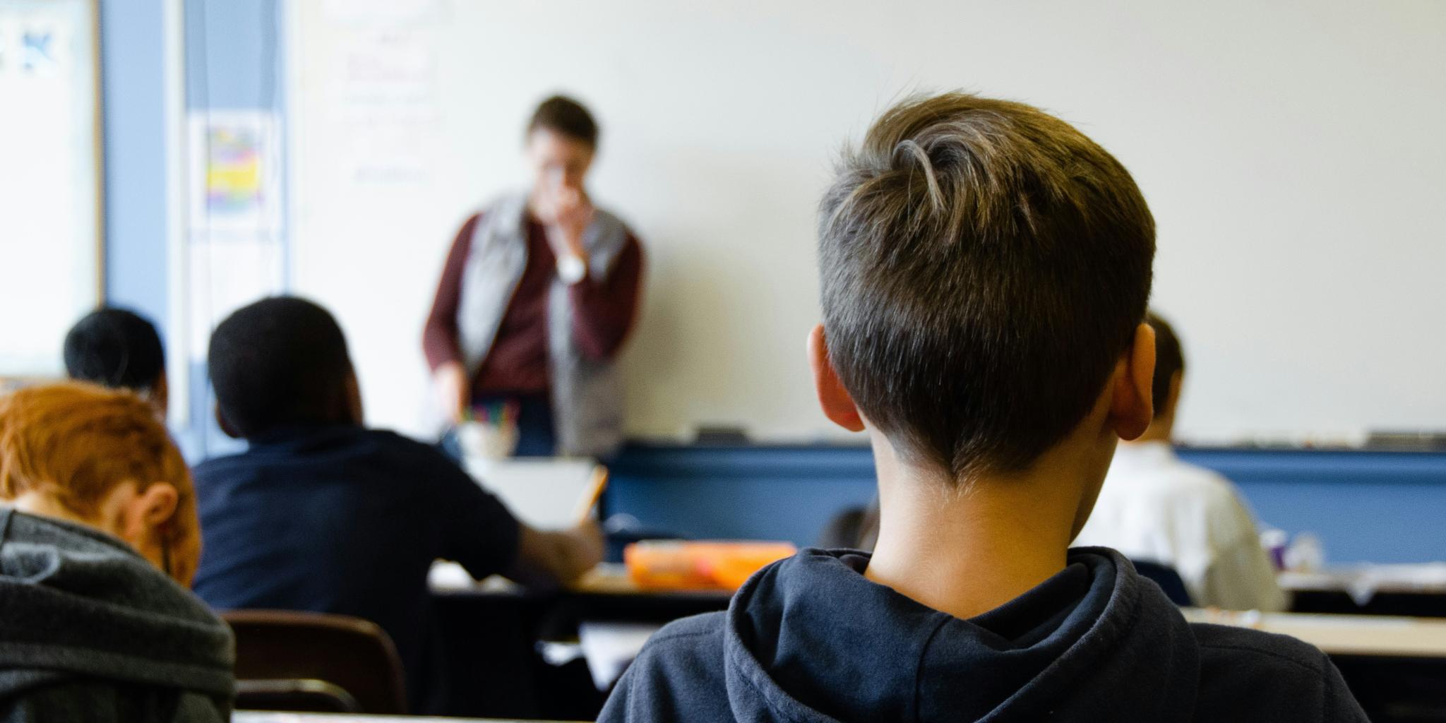 Schüler sitzen in einer Klasse und sind von hinten zu sehen