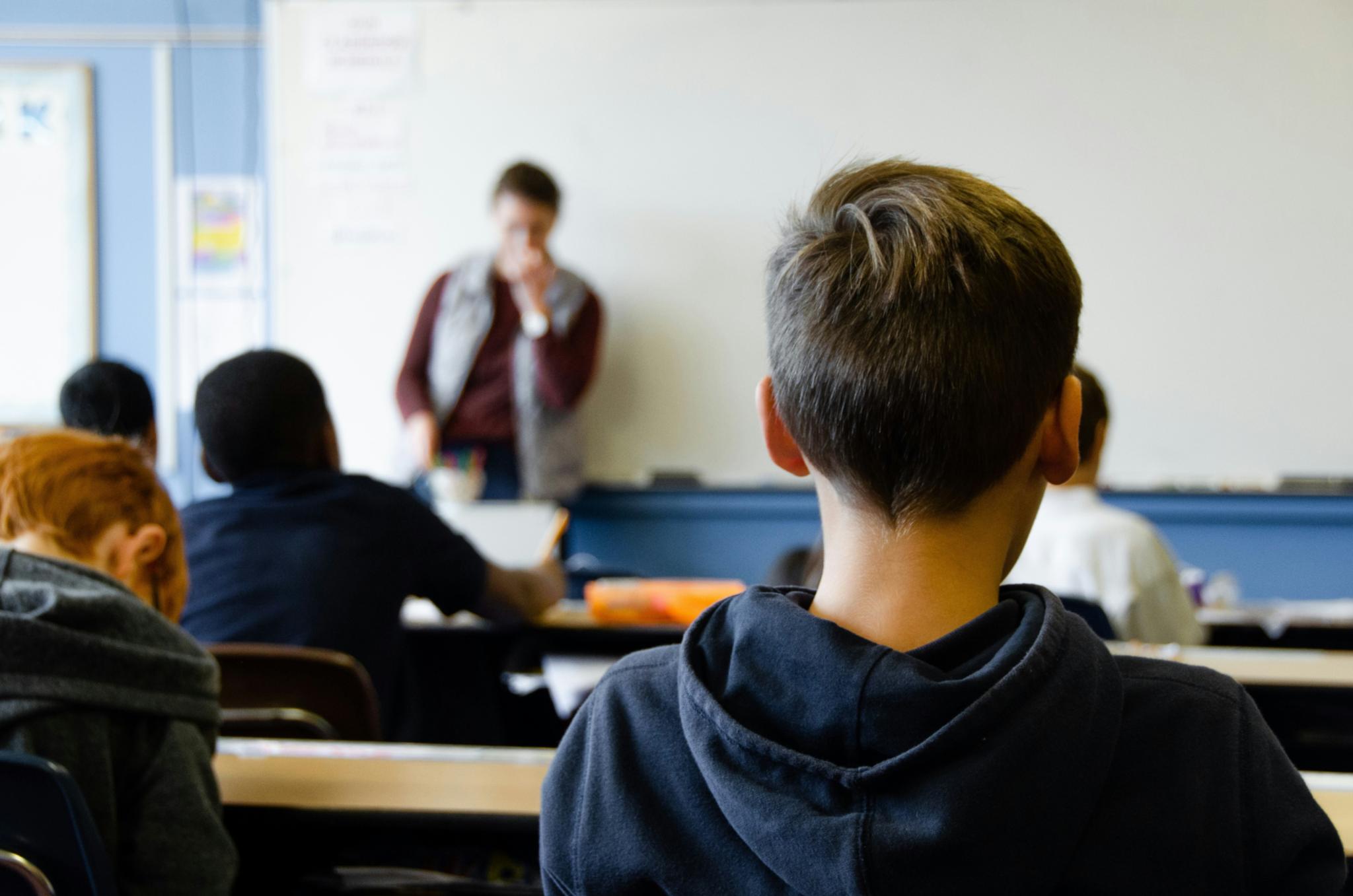 Schüler sitzen in einer Klasse und sind von hinten zu sehen
