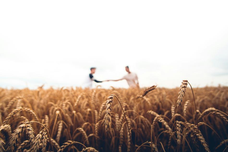 Man sieht ein Feld, im Hintergrund verschwommen zwei Personen, die sich die Hand reichen