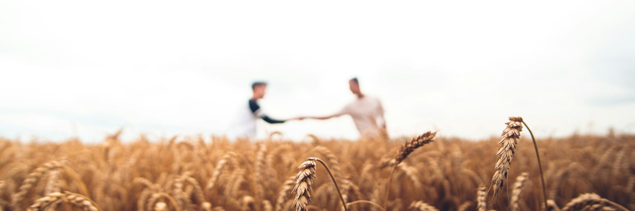 Man sieht ein Feld, im Hintergrund verschwommen zwei Personen, die sich die Hand reichen