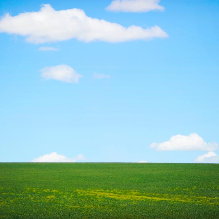 grünes Gras trifft am Horizont auf strahlend blauen Himmel; vereinzelt sind kleine Wölkchen zu sehen