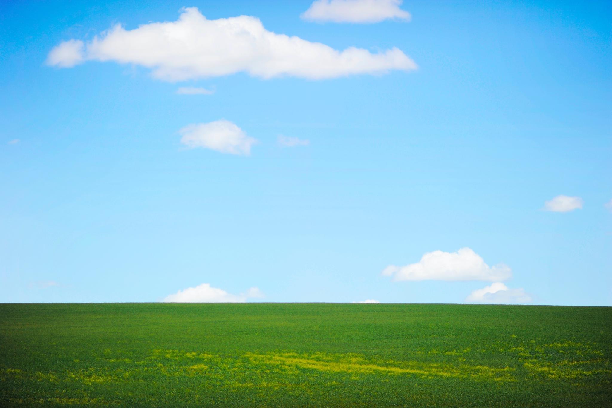 grünes Gras trifft am Horizont auf strahlend blauen Himmel; vereinzelt sind kleine Wölkchen zu sehen