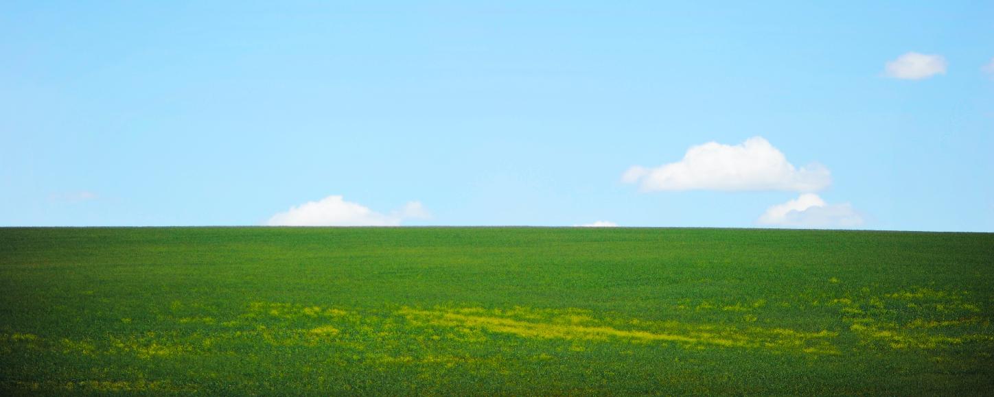 grünes Gras trifft am Horizont auf strahlend blauen Himmel; vereinzelt sind kleine Wölkchen zu sehen