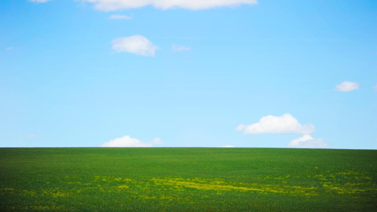 grünes Gras trifft am Horizont auf strahlend blauen Himmel; vereinzelt sind kleine Wölkchen zu sehen