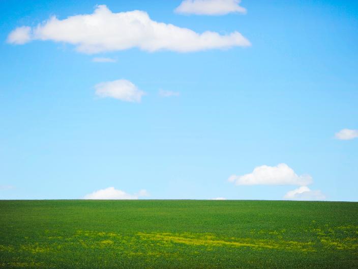 grünes Gras trifft am Horizont auf strahlend blauen Himmel; vereinzelt sind kleine Wölkchen zu sehen