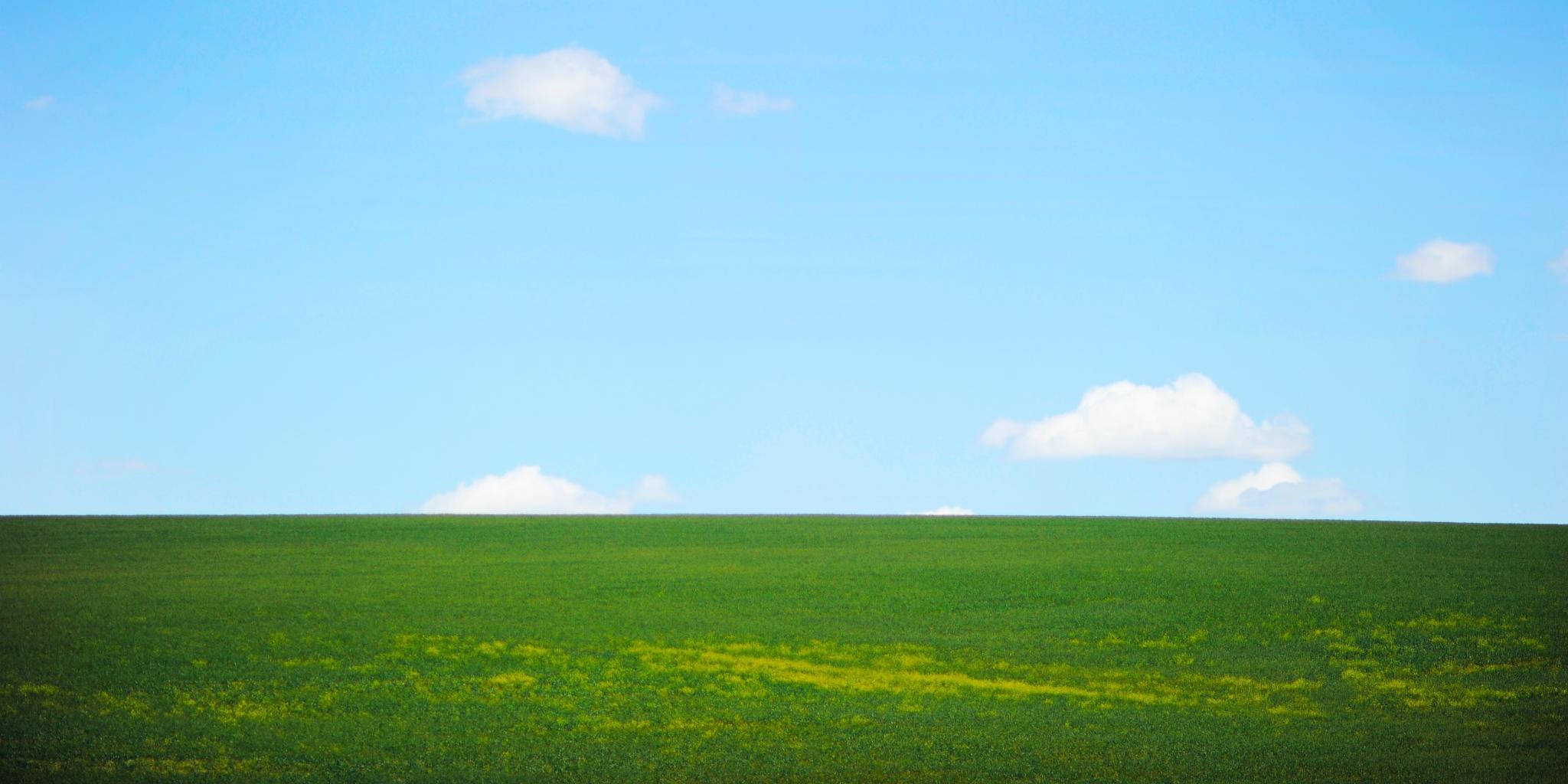 grünes Gras trifft am Horizont auf strahlend blauen Himmel; vereinzelt sind kleine Wölkchen zu sehen