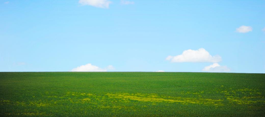 grünes Gras trifft am Horizont auf strahlend blauen Himmel; vereinzelt sind kleine Wölkchen zu sehen