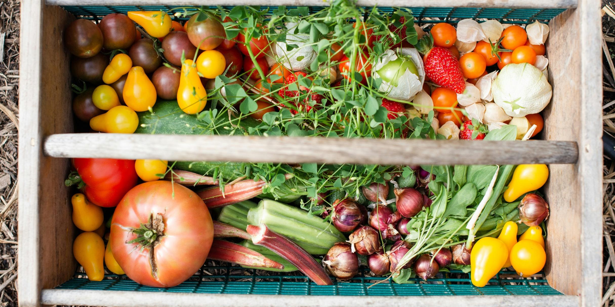 In einer Holzkiste liegen verschiedene Obst- und Gemüsesorten wie Tomaten, Erdbeeren, Zwiebeln, Rhabarber