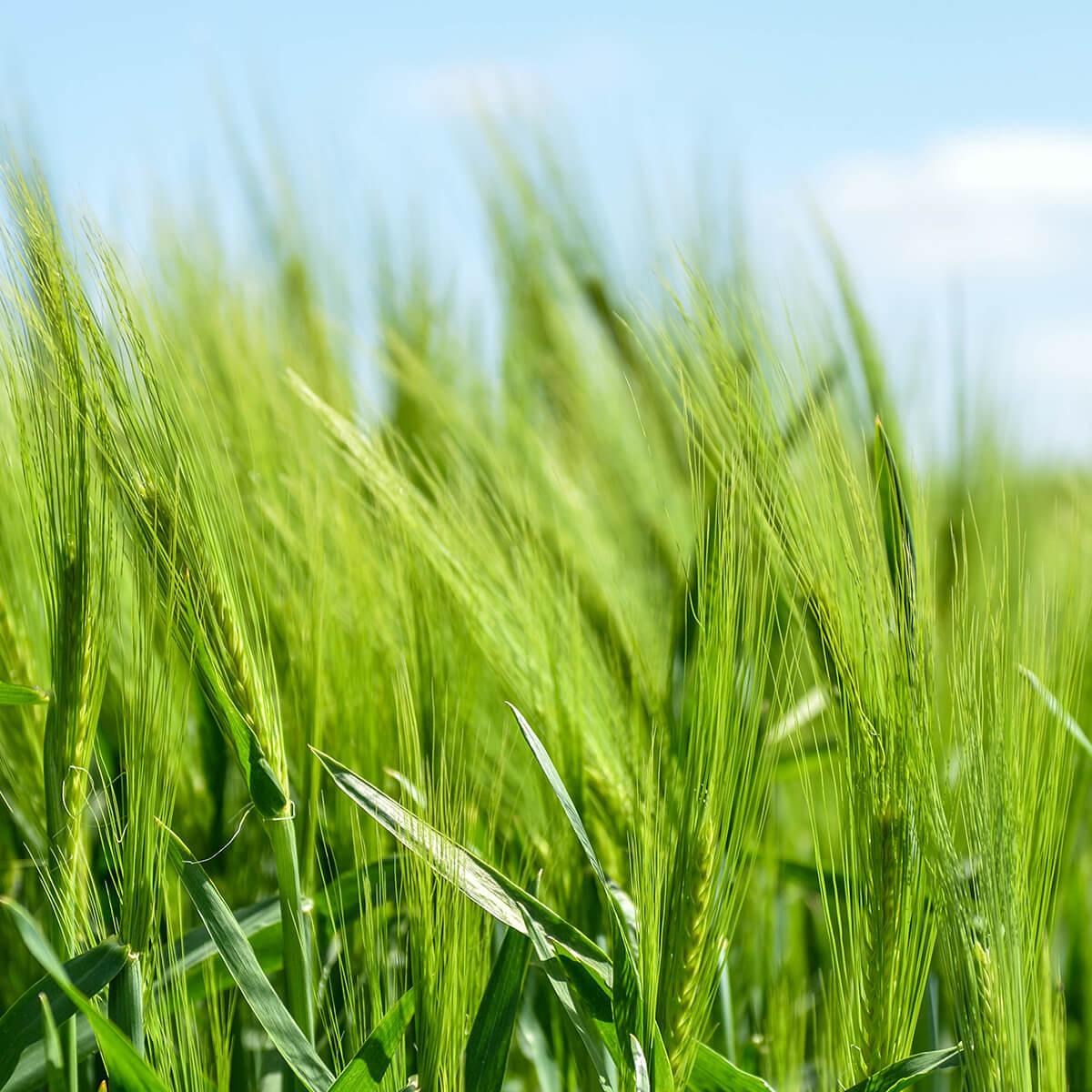 Pastoraler Raum Lebach