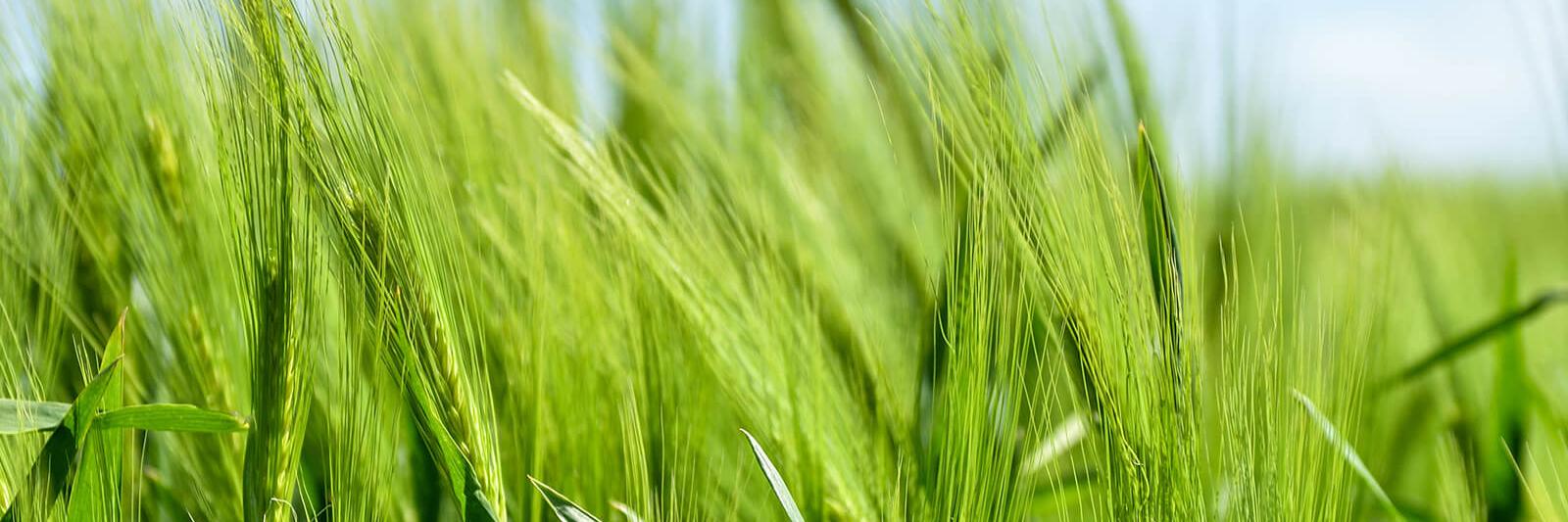 Pastoraler Raum Lebach