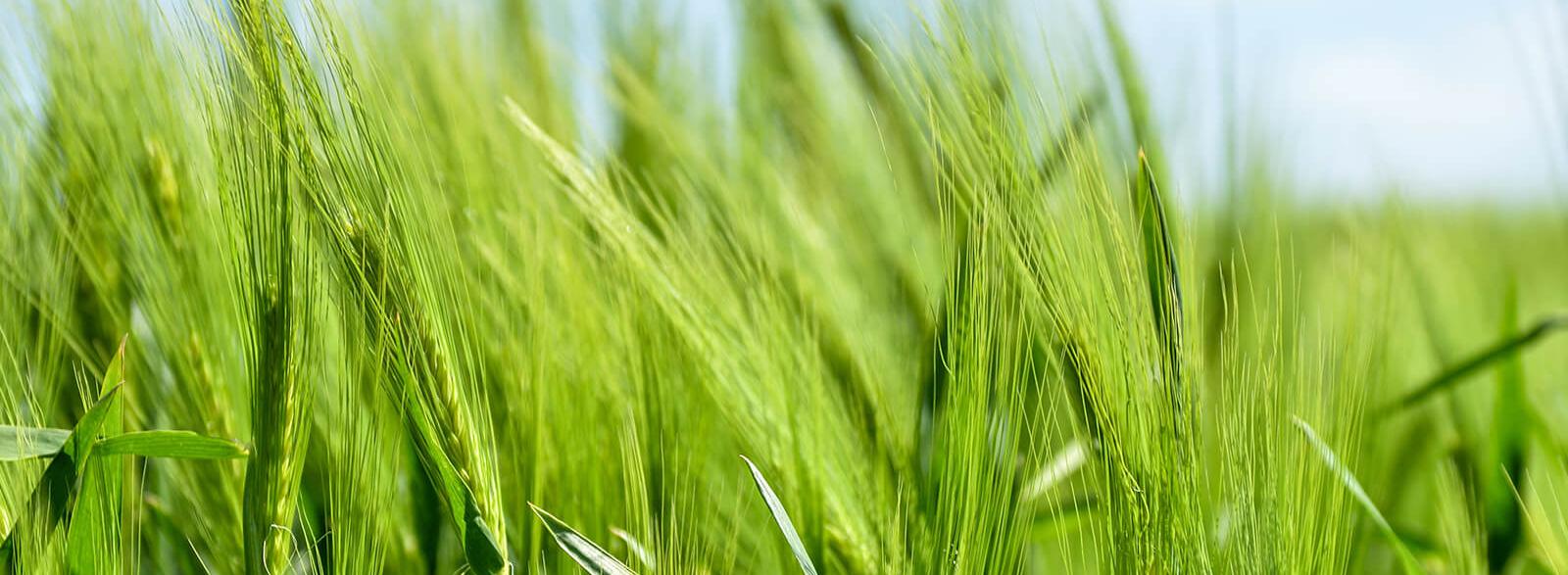 Pastoraler Raum Lebach